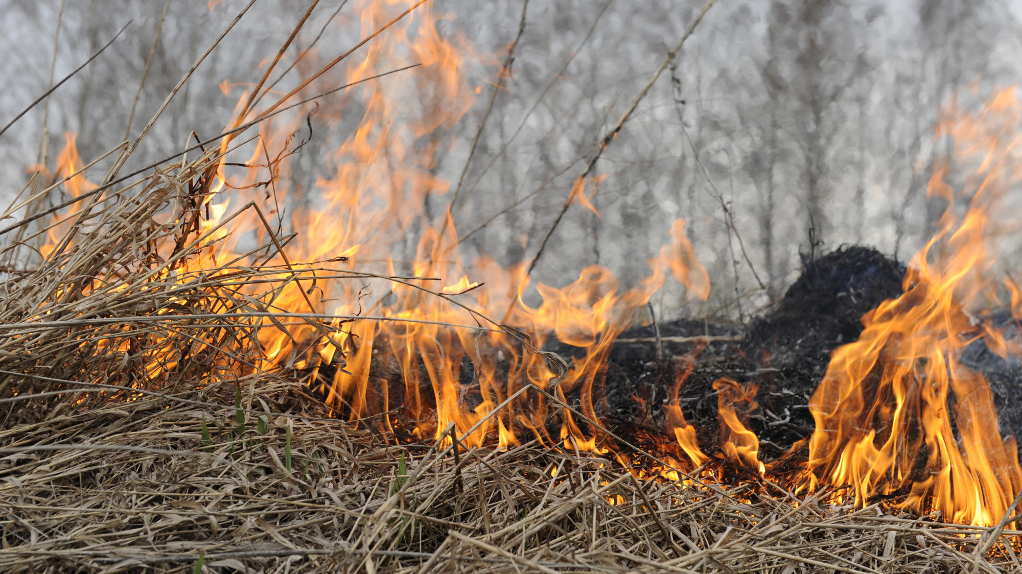 МЧС предупреждает: в Карачевском районе наступил пожароопасный период