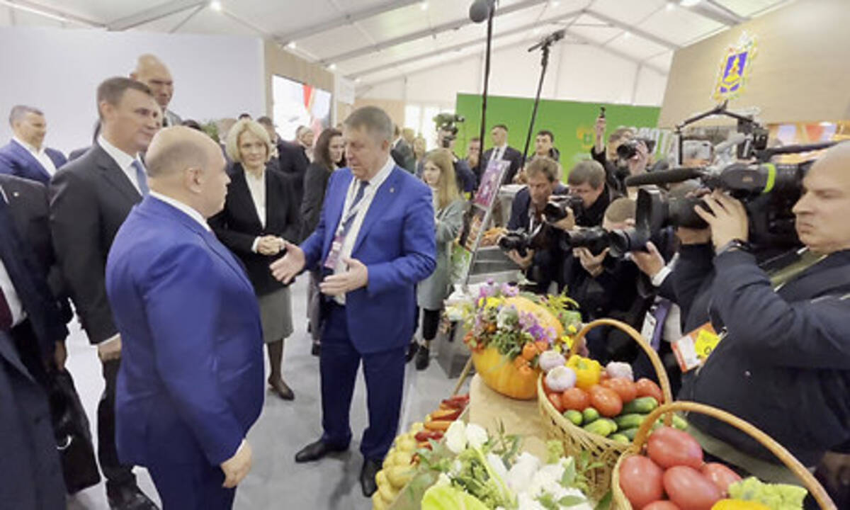 Финансовая поддержка АПК в Брянской области приближается к 10 млрд в год