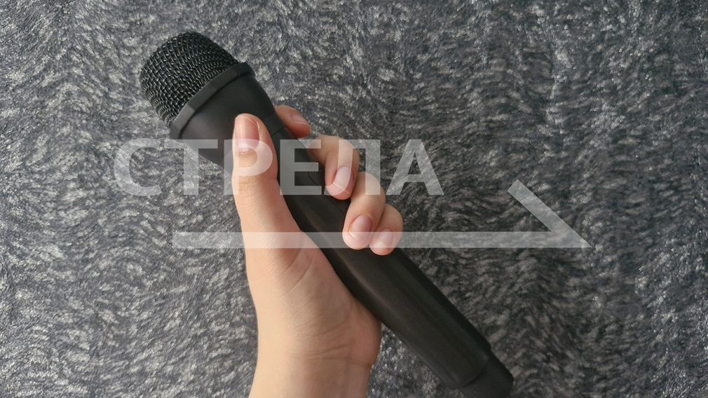 Брянская певица Иванка выпустила новую песню