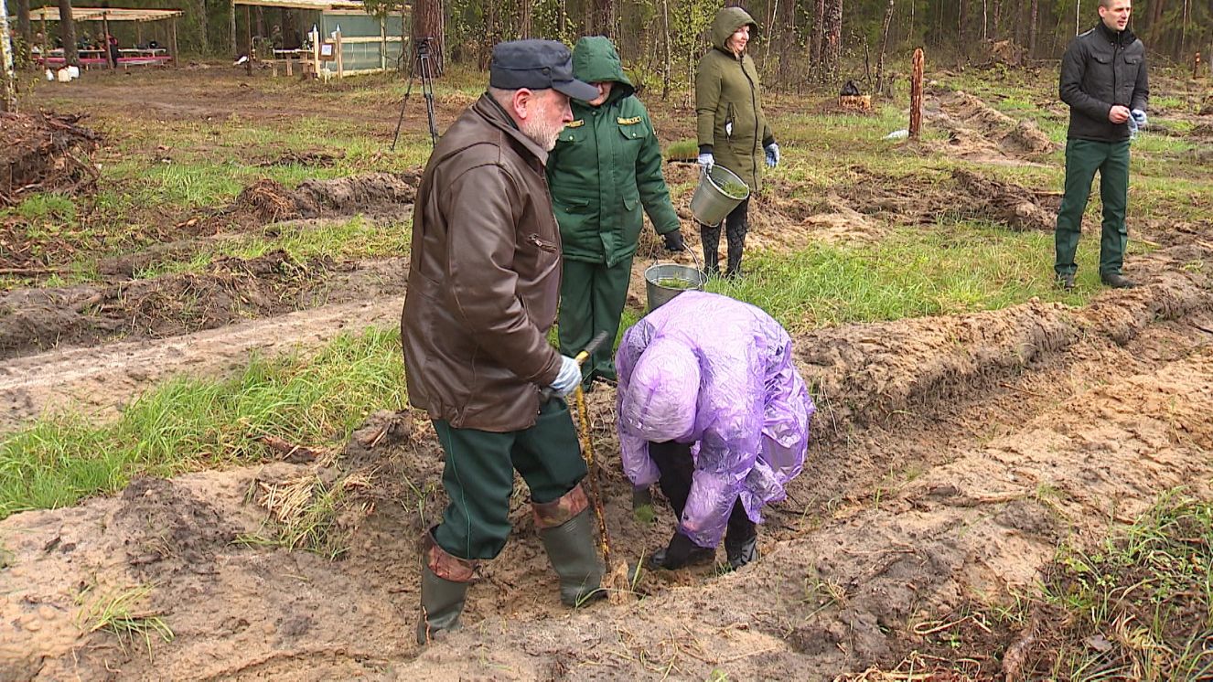 В Брянской области проходит Международная акция «Сад памяти»