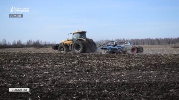 В правительстве Брянской области прошло обсуждение хода начала весенне-полевых работ