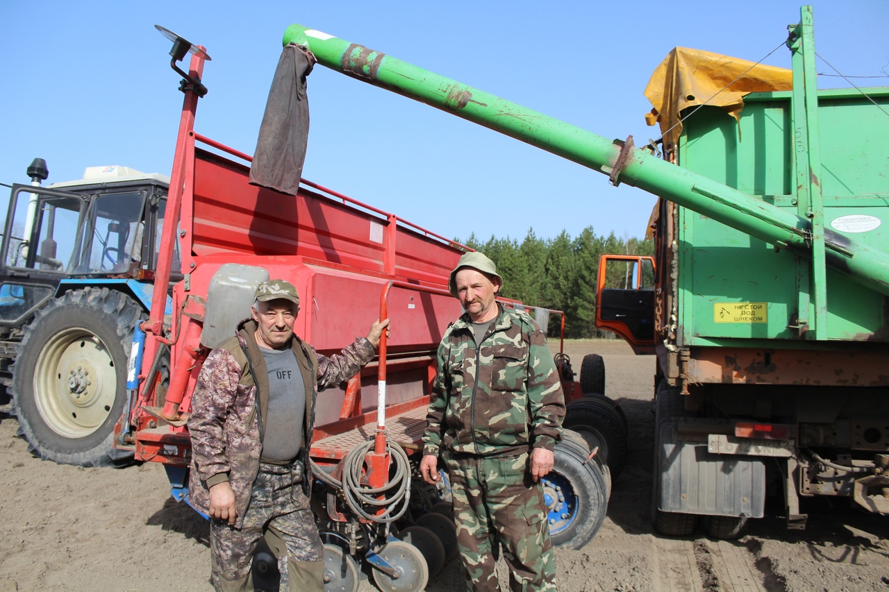 Карачевские аграрии приступили к севу яровой пшеницы