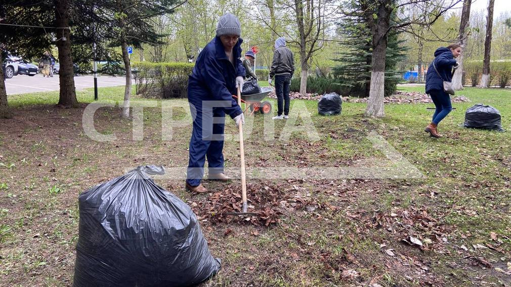 Трудовые коллективы вышли на субботник в Брянске