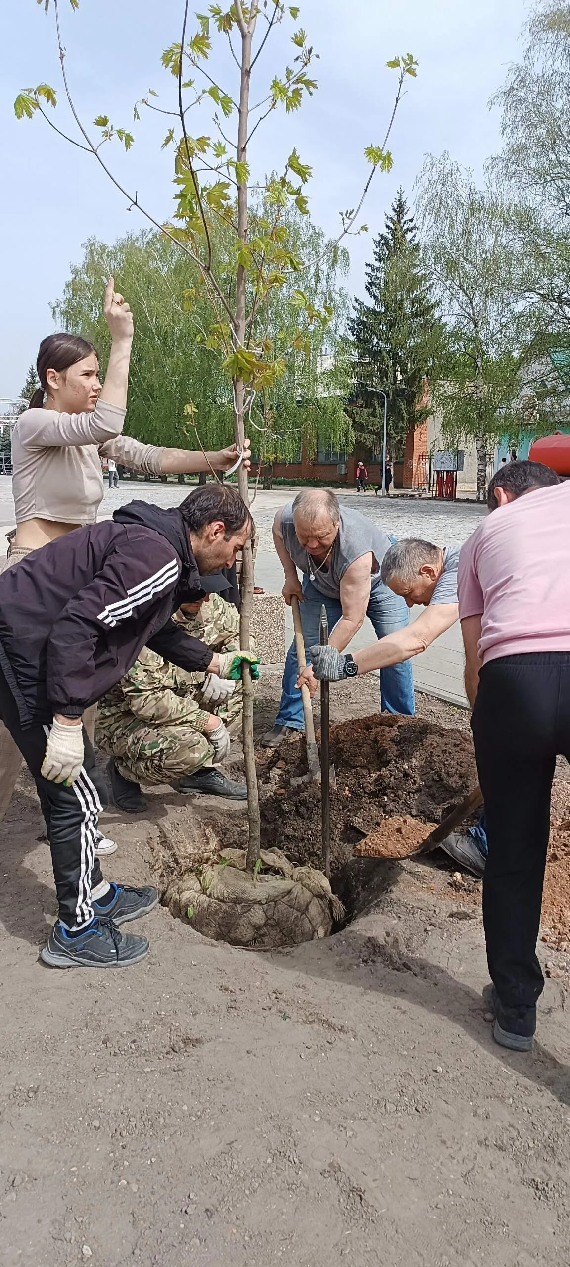 На центральной площади Карачева посадили деревья
