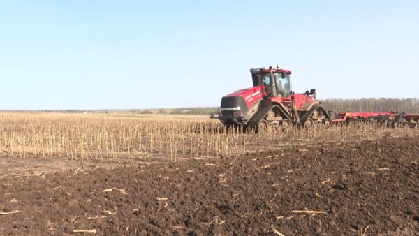 На Брянщине аграрии начали  весенний сев