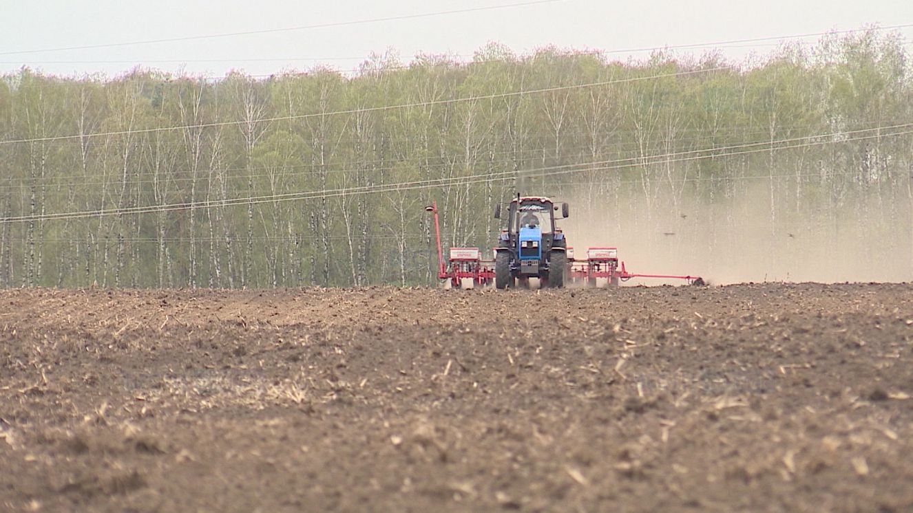 В Брянской области посевная кампания вышла на финишную прямую