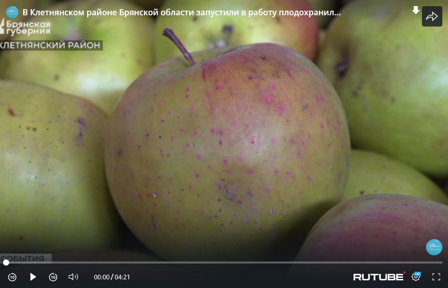 В Клетнянском районе Брянской области заработало плодохранилище на 5 тысяч тонн