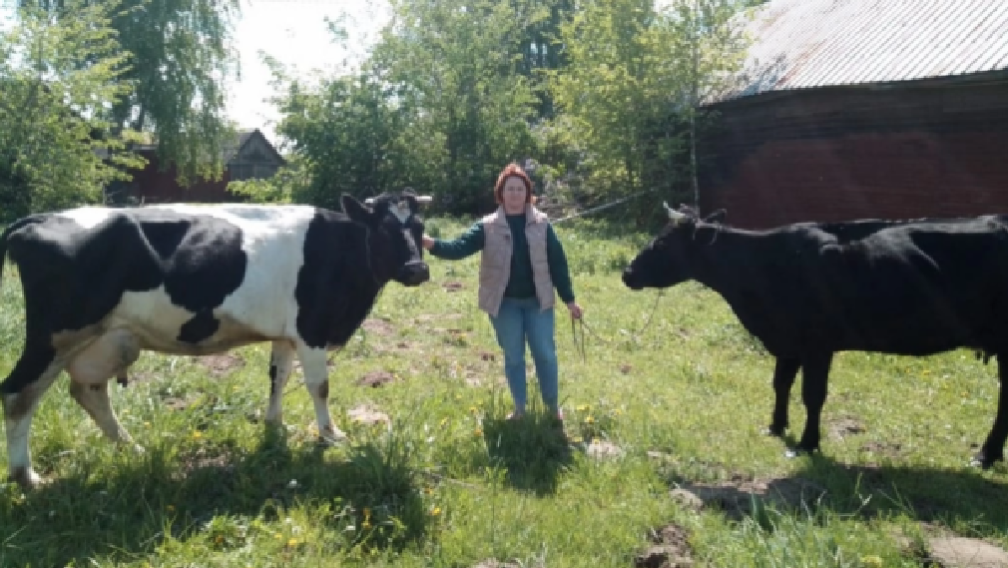 Семья из брянского села Творишино заключила соцконтракт на ведение ЛПХ