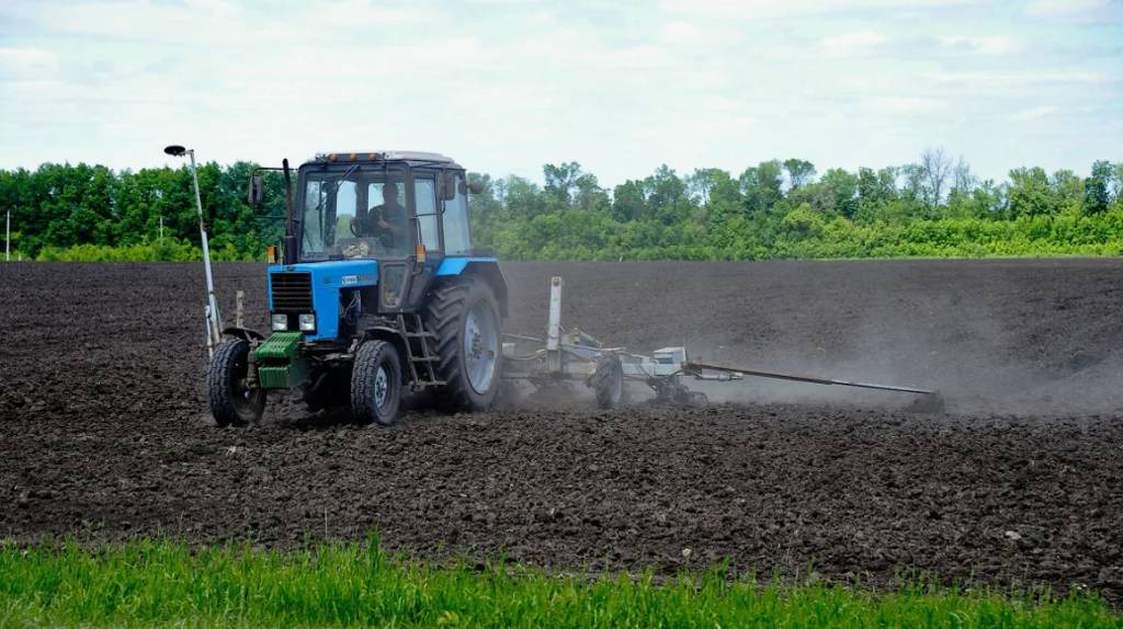 Брянские аграрии завершили посевную