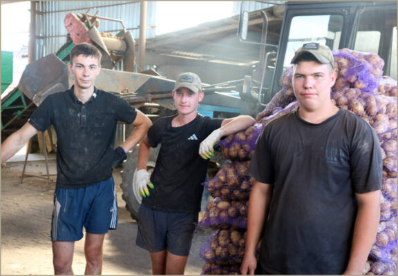 Аграрии Стародубского округа начали убирать  ранний картофель