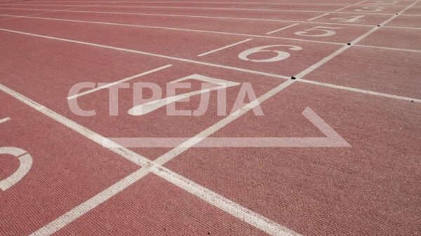 Брянский регион  занял  15 место в рейтинге реализации комплекса ГТО