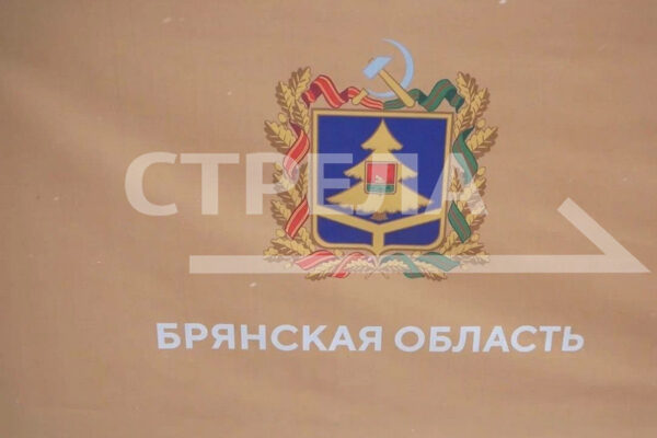 Брянского губернатора наградили Благодарностью председателя Совета Федерации