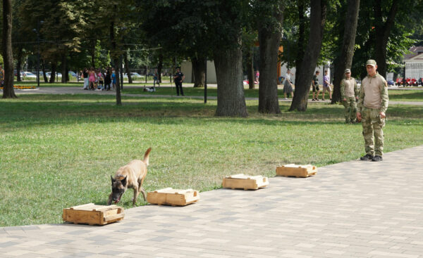 Мероприятие «Один день с Росгвардией» прошло в Брянске