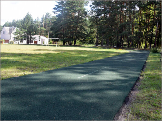 В брянском Климово на школьном  стадионе  уложили каучуковое покрытие на беговой дорожке