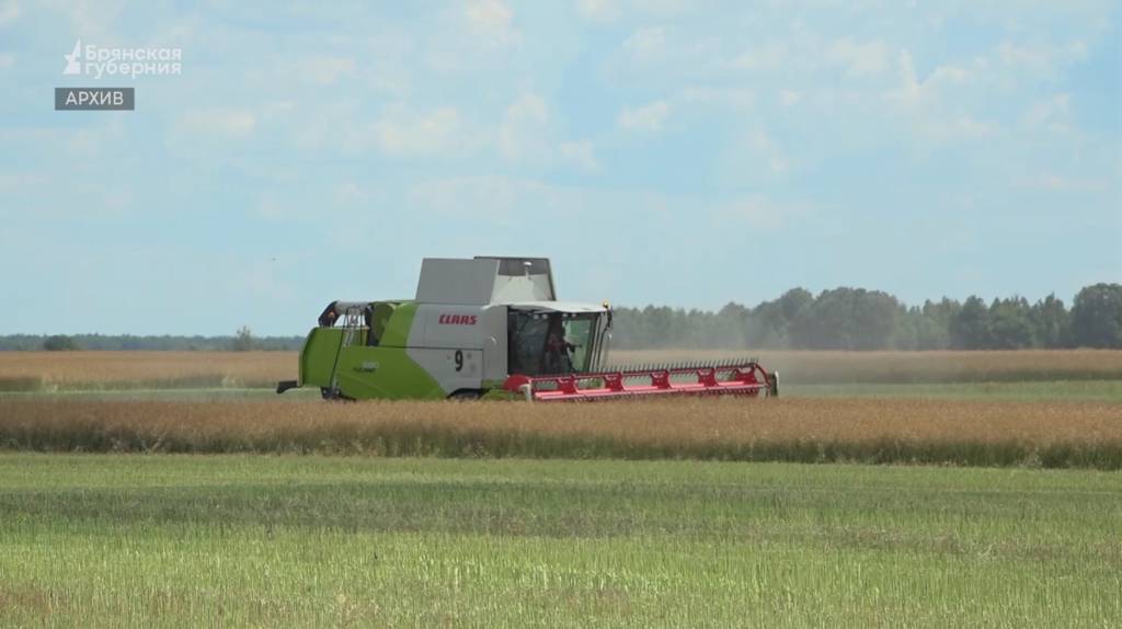 В сельхозпредприятиях Брянской области на особом контроле уборочные работы и сев озимых культур