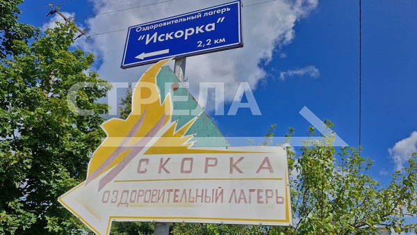 Летом в  санаториях и лагерях Брянского региона отдохнули 41 702 ребенка