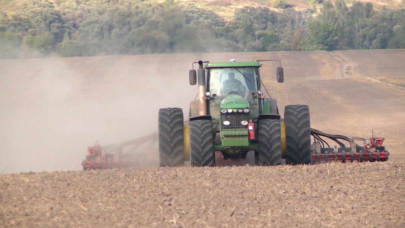 В Брянской области завершается сев озимых