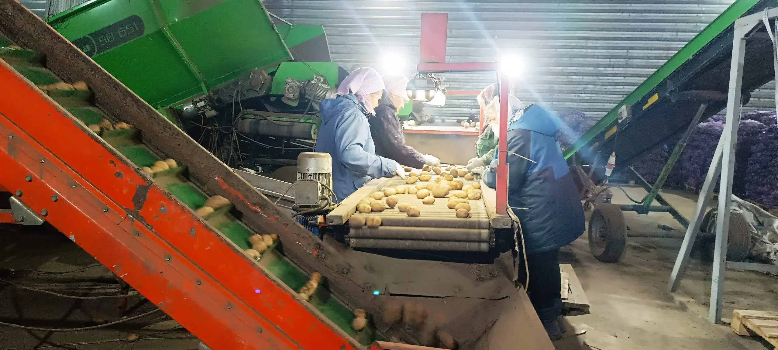   Руководитель ООО «Карачев-АгроПарк» А.С.Косенков: «Год был непростой, но мы справились…»