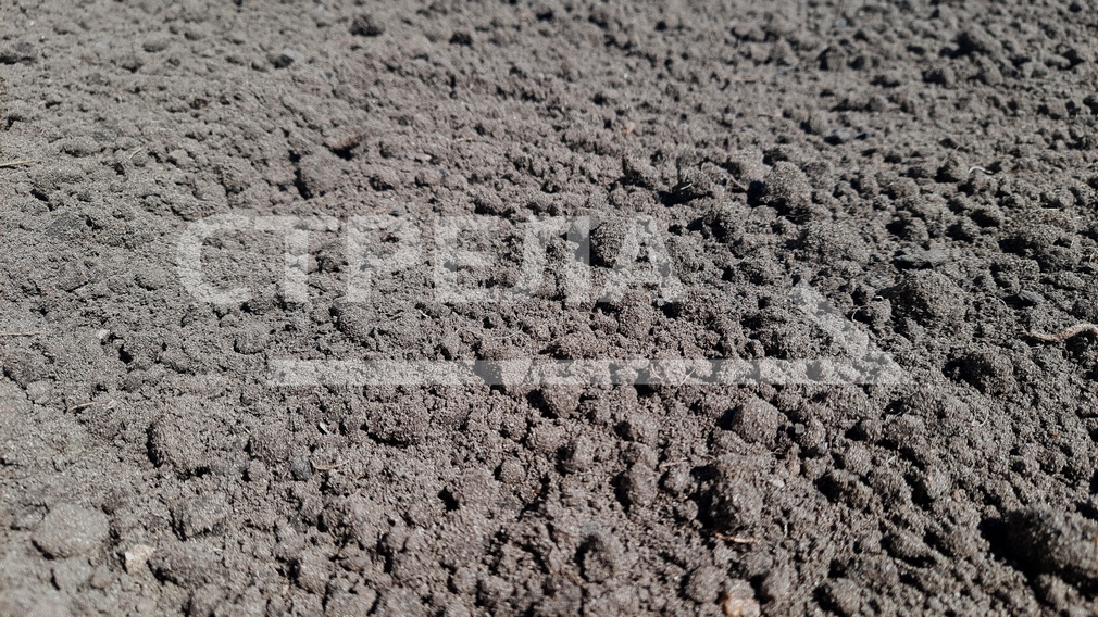 Брянским многодетным семьям предоставили почти семь тысяч земельных участков