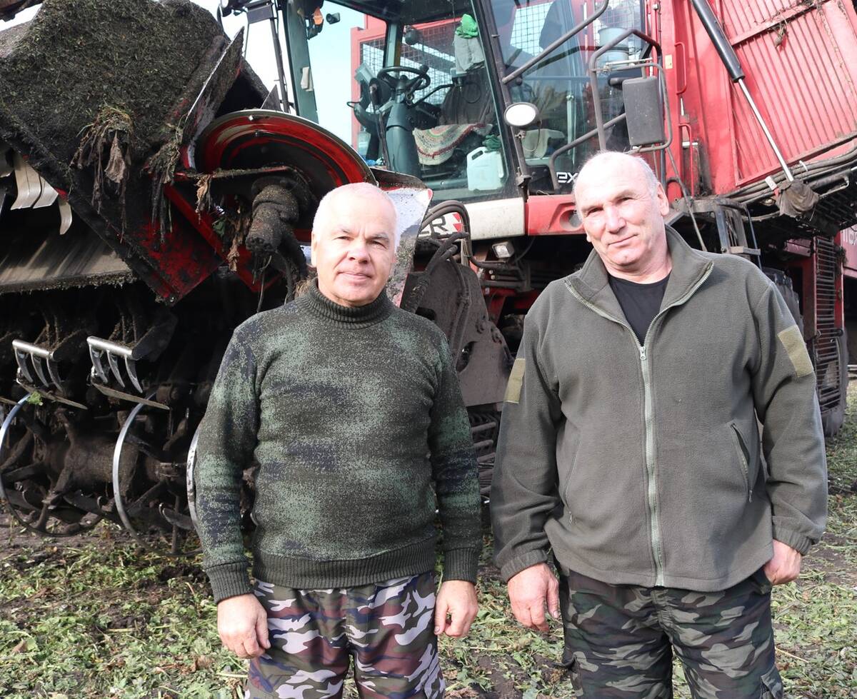 На полях Брянской области продолжается уборка сахарной свеклы