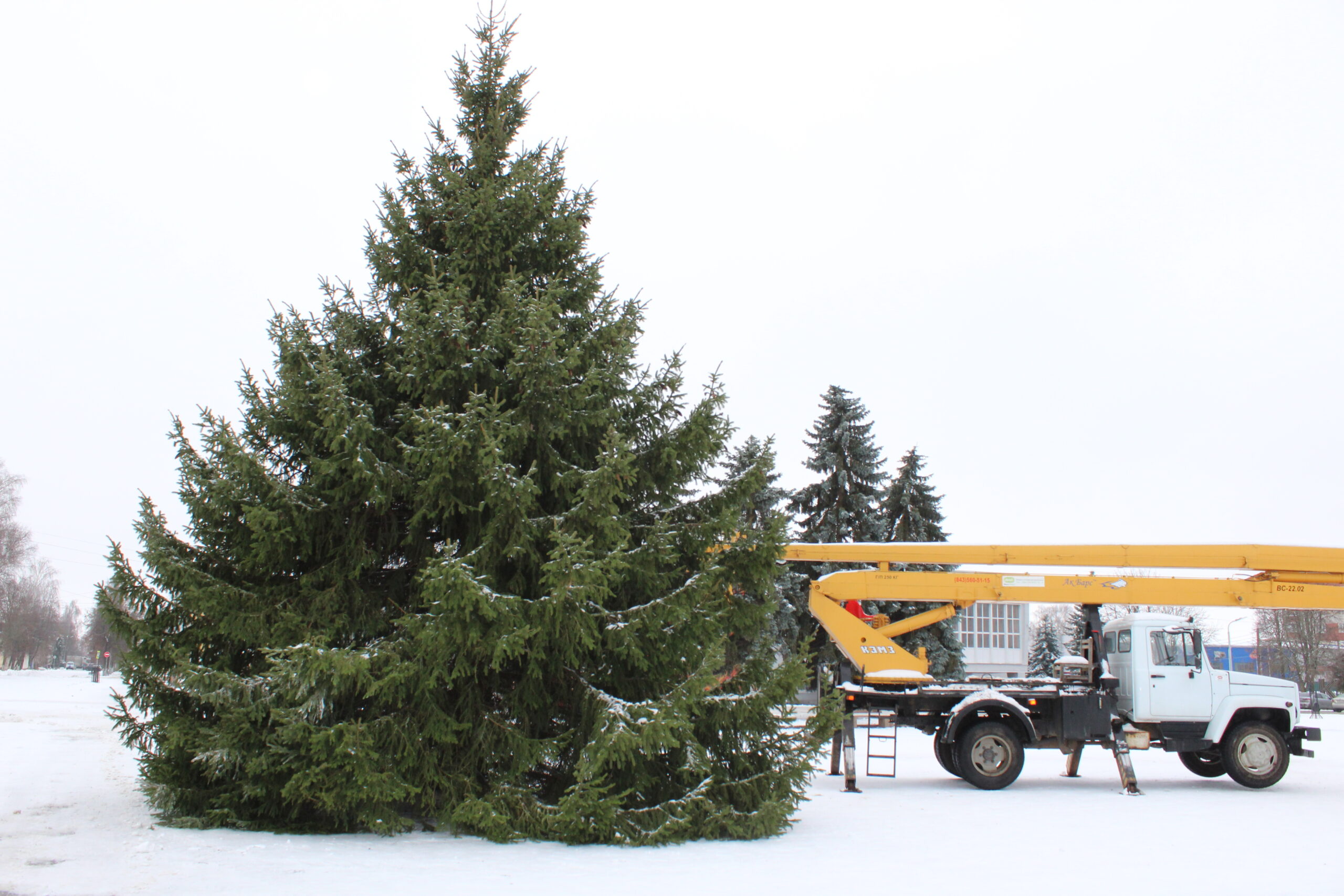 В Карачеве на центральной площади установили новогоднюю елку