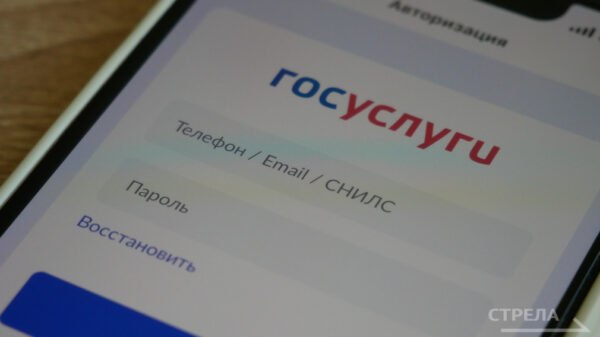 Брянцам сообщили о том, как удобно пользоваться приложением Госуслуги.Дом