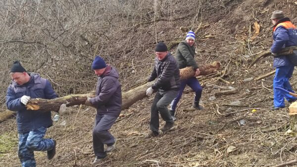 В Трубчевском парке продолжают благоустраивать спуск к реке