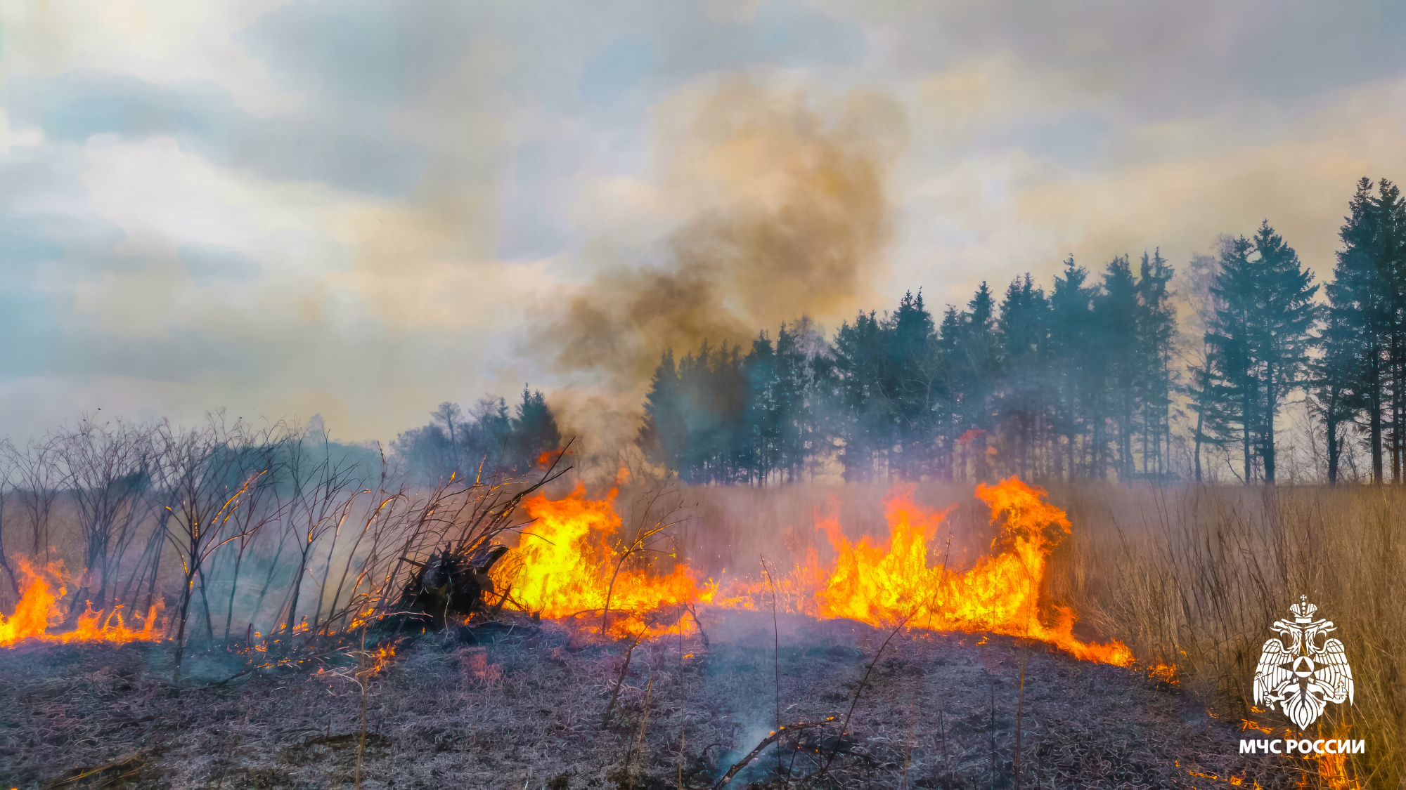 МЧС. Ответственность за травяные палы
