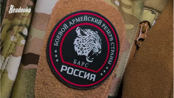 Телеграм -канал Readovka рассказал о работе батальона «БАРС-Брянск»