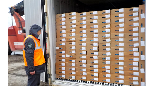 За два месяца Брянская область экспортировала 15 тысяч тонн животноводческой продукции