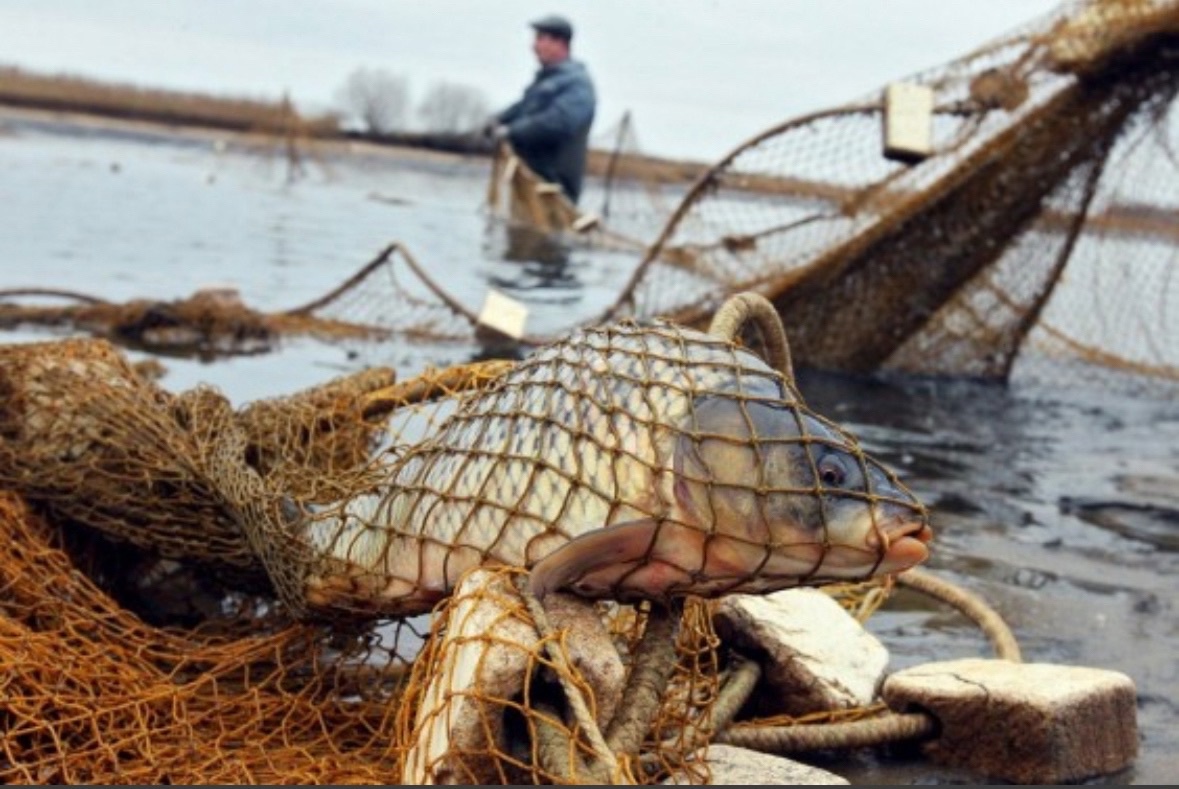 На территории Карачевского района проходит ОПМ «Браконьер»