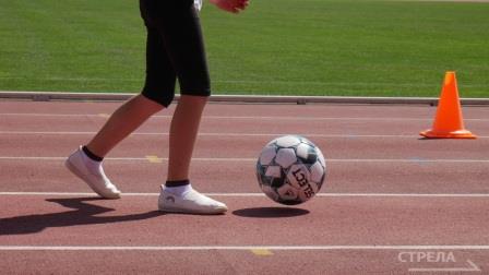 В Брянске при участии Олега Матыцина пройдет кубок Спортмастера по мини-футболу среди школьных команд