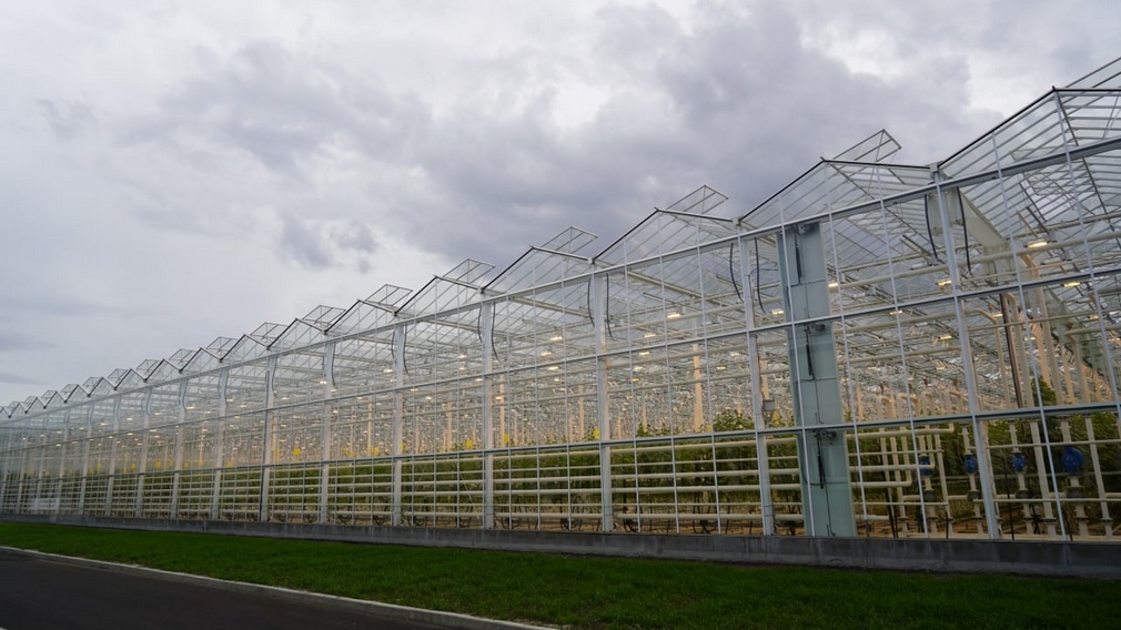 Глава Минсельхоза Оксана Лут посетила овощеводческое предприятие в Брянской области