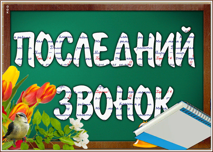 124  карачевских одиннадцатиклассника сделают  первый шаг во взрослую жизнь