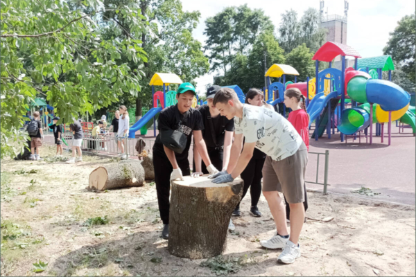 «Движение Первых» пришло на помощь коммунальным службам в Климово