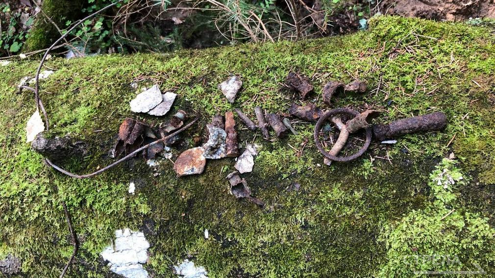 В брянских лесах обнаружен советский военный самолёт, помогавший партизанам