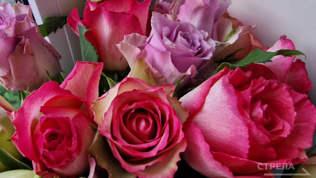 Владимир и Валентина Грибановы из брянской  Злынки отметили изумрудную свадьбу