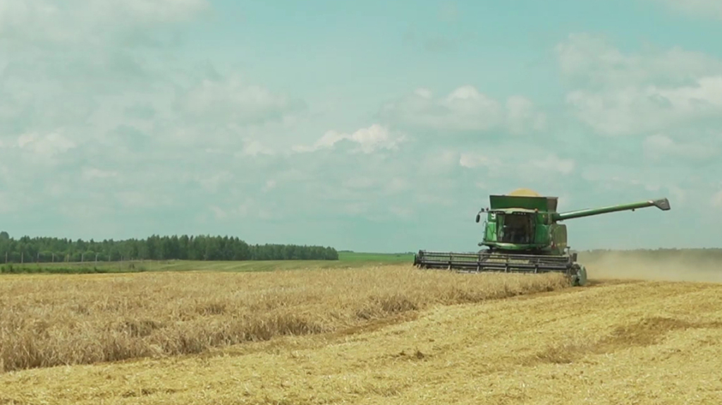 Аграрии Климовского района Брянской области начали активные полевые работы