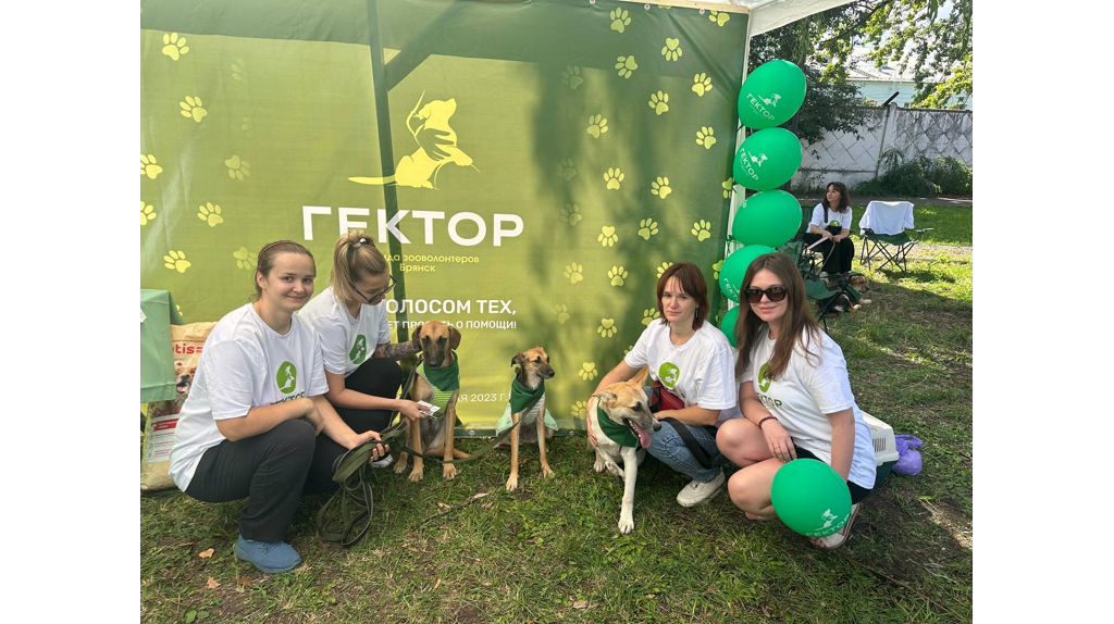 В Брянске впервые провели «Зоофест» в День бездомных животных