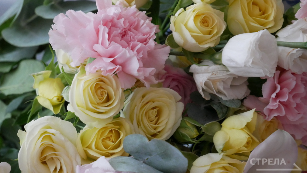 Жителей Брянского  региона удостоили высоких государственных наград