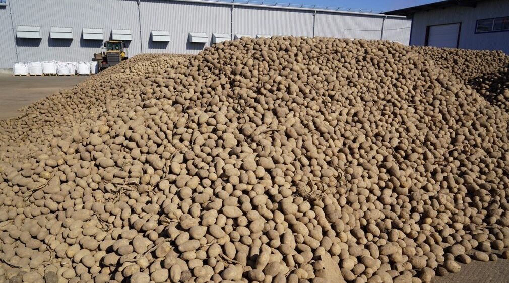 На Погарской картофельной фабрике строят новые производства