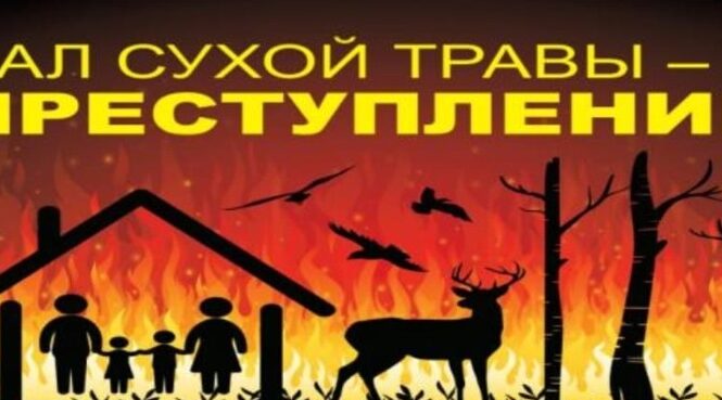 В Брянской области проводится профилактический  месячник «Сухая трава»