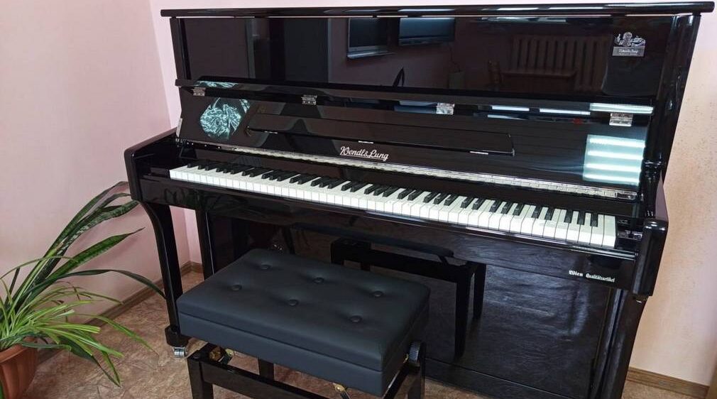 В рамках нацпроекта «Семья» Дубровская ДШИ оснащена современным оборудованием