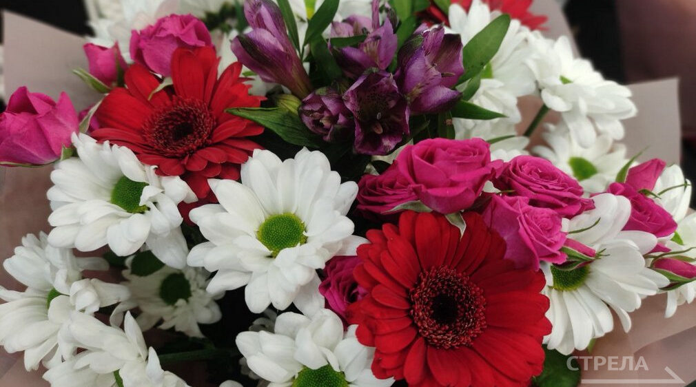 В Брянской области 22 женщины представлены к награждению знаком «Материнская слава»