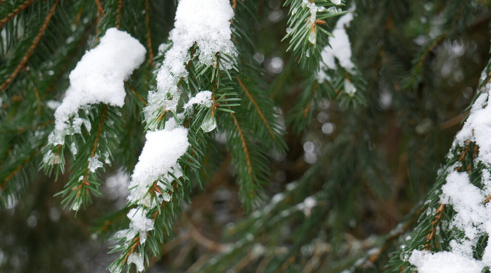 Зимой Брянск от снега будут чистить 125 единиц спецтехники