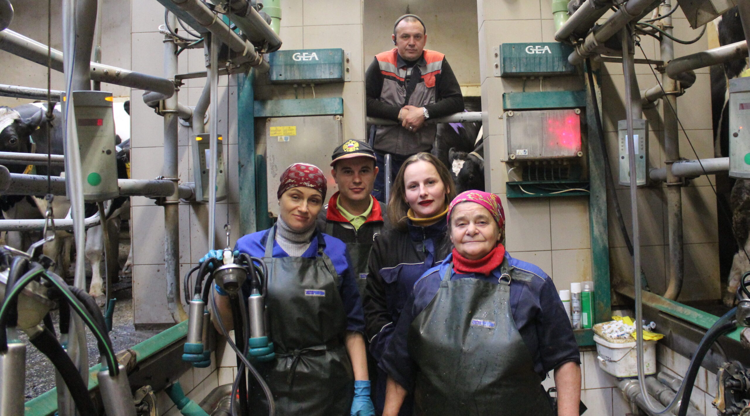 Бошинская ферма: взгляд изнутри на современное животноводство