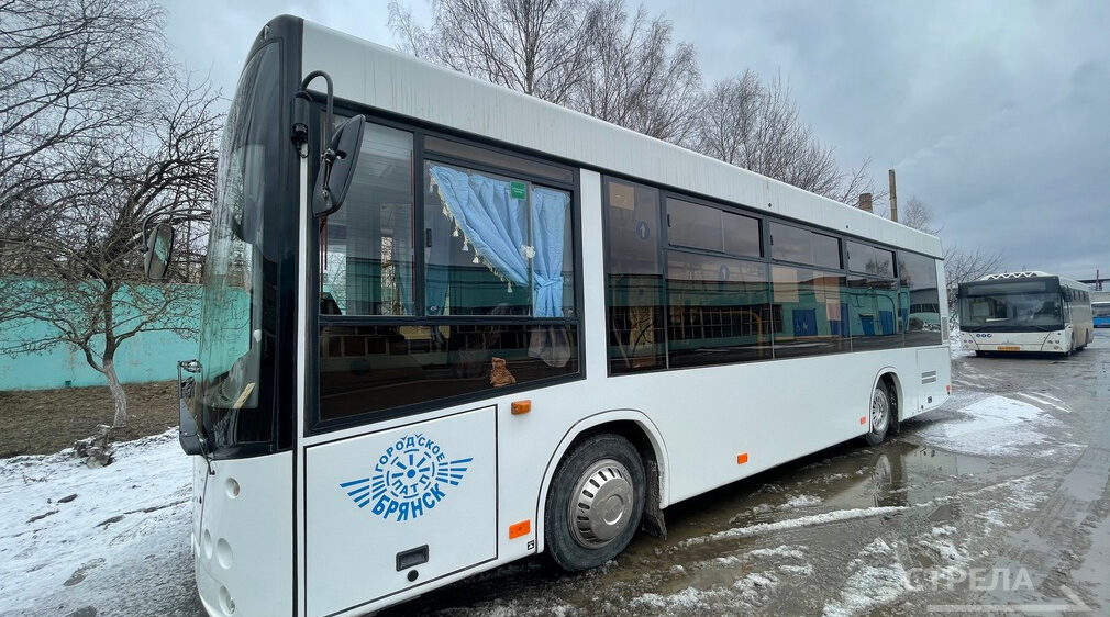 Более 550 тысяч поездок брянцы совершили со скидкой по карте «Мир»