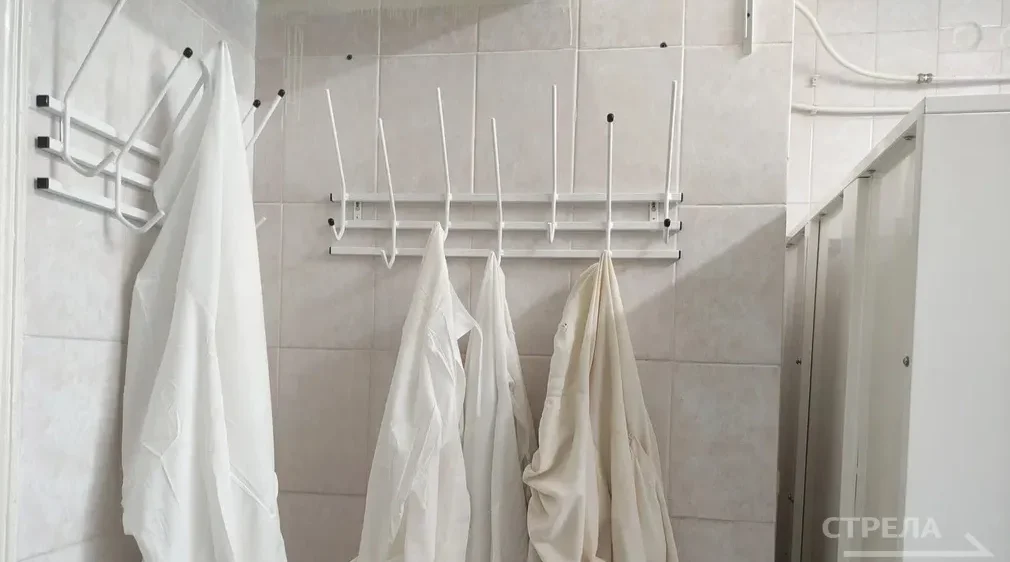 Молодые специалисты усиливают медицину Брянской области