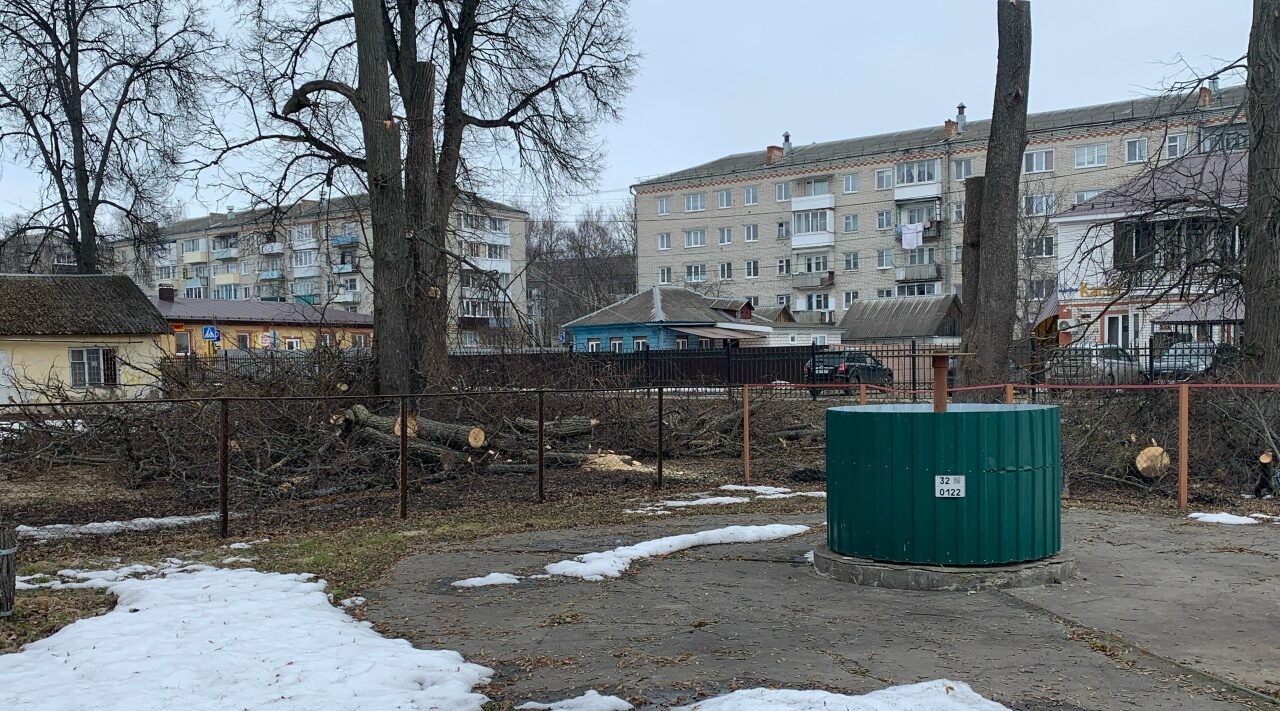 На Брянщине Стародубский парк обновят новыми аттракционами