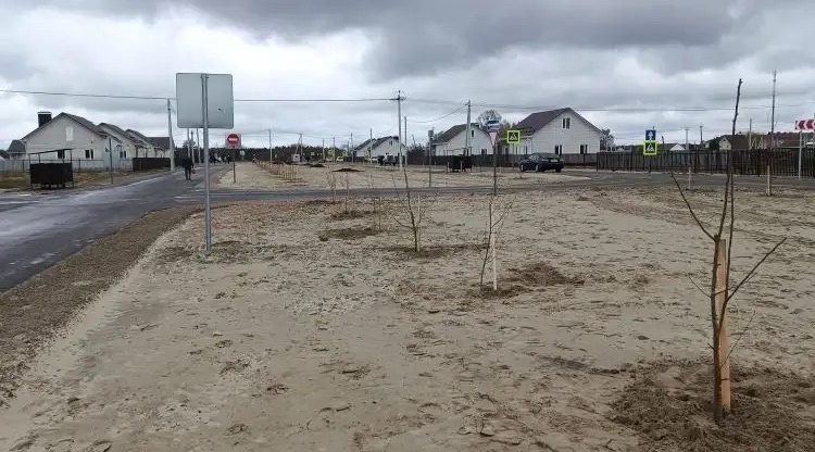 В брянском селе Журиничи высадили 300 плодовых деревьев